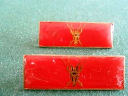 Pair Chief of The Army Formation Bars