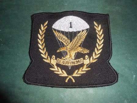 1 Parachute Battalion Pocket Badge *** I Bought this item in as a proto type sometime ago ***
