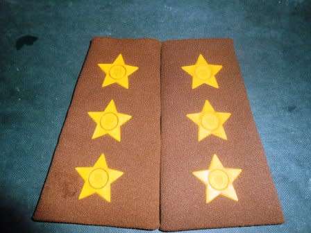 SADF Captain Nutria Rank Insignia