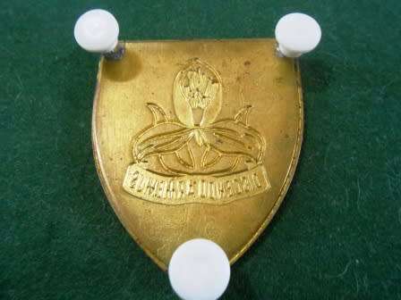 SADF Military Academy Shoulder Flash