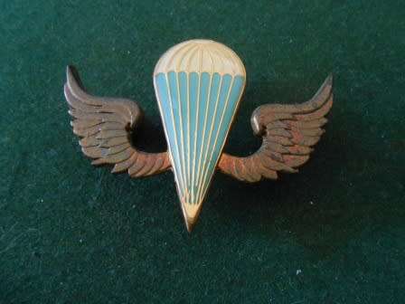 Kenya Defence Force Para Qualification Wing