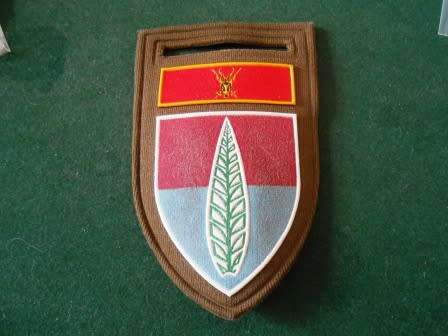 10 Artillery Air Defence School Nutria Shoulder Flash
