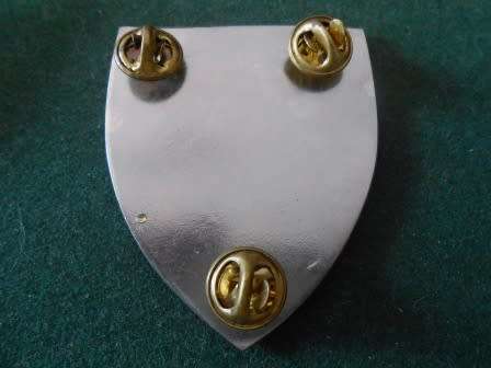 Thunissen Commando Shoulder Flash