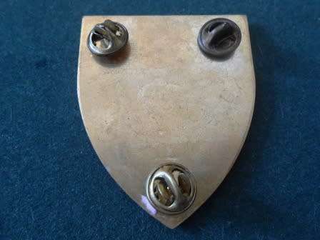 Delarey Regiment Shoulder Flash