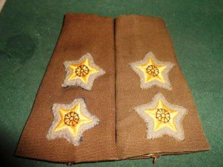 SADF LT Nutria Rank insignia