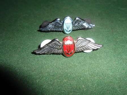 Set of Miniature Para Wings
