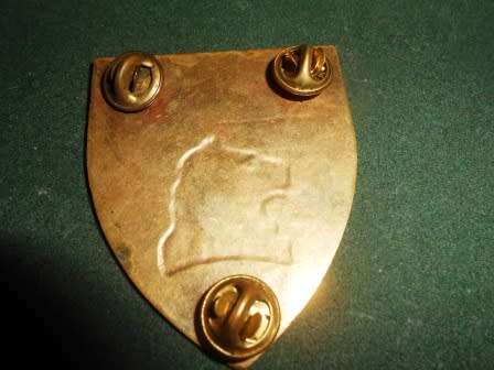 Regiment Delaray Shoulder Flash