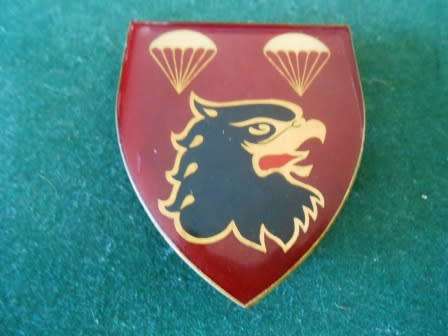 2 Parachute Battalion Shoulder Flash