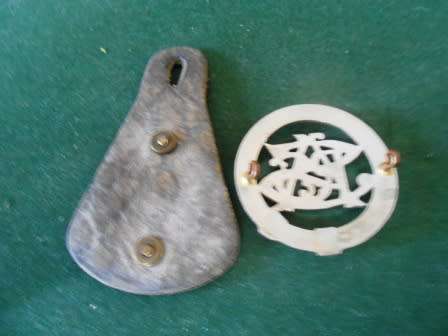 SAR & Transnet Badges