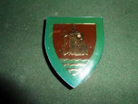 SACC Services Battalion Shoulder Flash