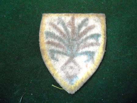 SWATF 202 Battalion Cloth Flash
