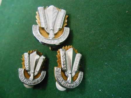 Set of SADF Catering Badges