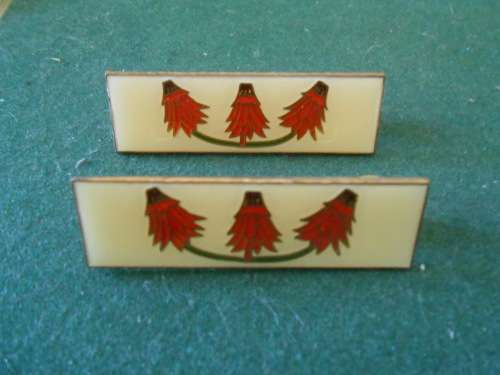 Set Far North  Command Formation Bars