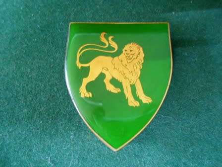 Hillcrest Regiment Shoulder Flash