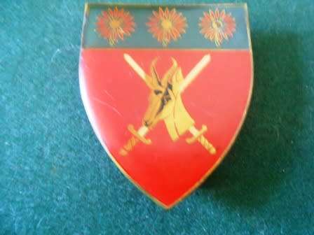 Northern Transvaal Command Shoulder Flash