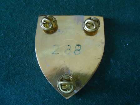 Regiment Schoonspruit Shoulder Flash