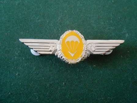 Boputhatswana Defense Force Task Force Para Wing