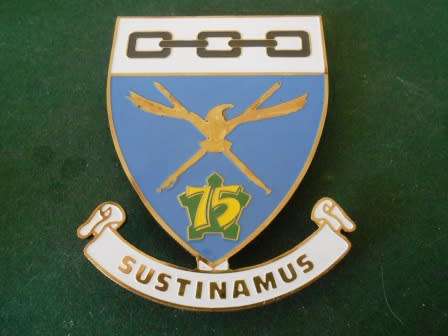 SAAF Logistics Command Plaque Flash