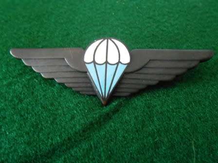 Ciskei Defence Force Parachute Wing Fill Size - Black