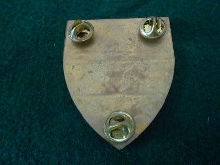2 South African Infantry Battalion Shoulder Flash