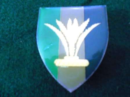 Sector 10 Signals Unit Shoulder Flash