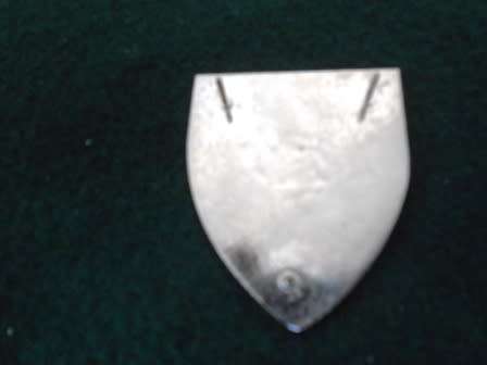201 BN Badge *** Assume as a restrike ***