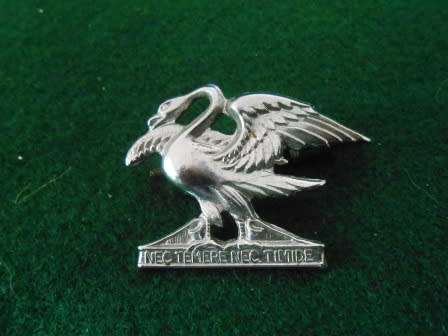 Regiment Springs Beret Badge