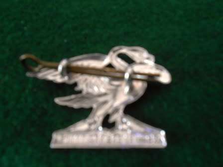 Regiment Springs Beret Badge