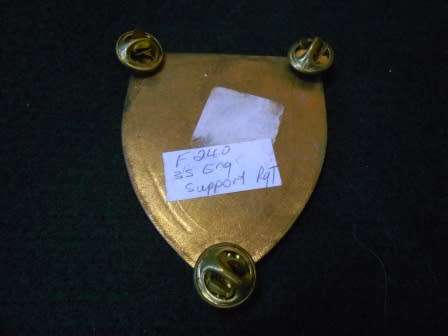 35 Engineers Support Unit Shoulder Flash