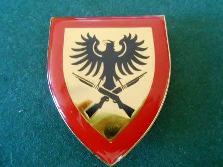 913 Battalion Shoulder Flash