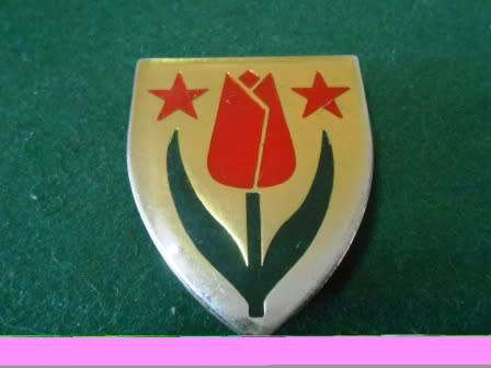 South West Karoo Commando Shoulder Flash
