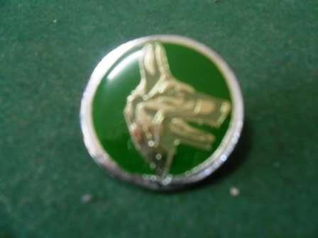 12 Infantry Battalion asstitance instructor qualification badge - Full size-
