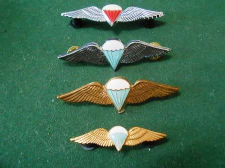 Set of SADF Parachute Wings