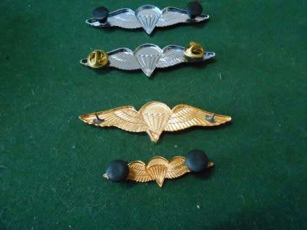 Set of SADF Parachute Wings