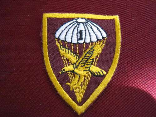 Parabat badge - copy