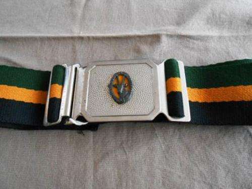 8 SAI Stable belt