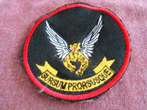2 squadron patch
