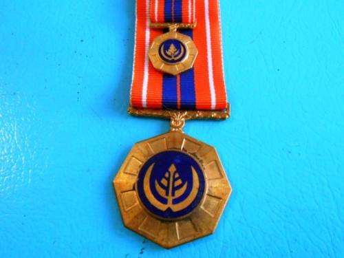 Pro Patria Medal complete with miniature