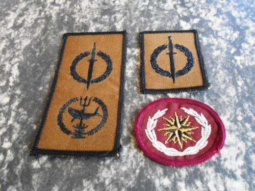 SADF Recce Badge Job lot