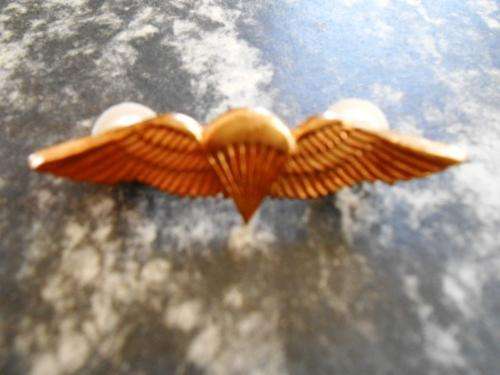 Para Basic wing (Glided) - mess dress