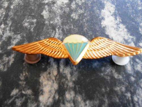 SADF Para Wing Basic - full size