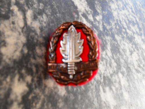 SA Army intelligence school cap badge