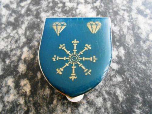 1 SWA Logistics Brigade Flash
