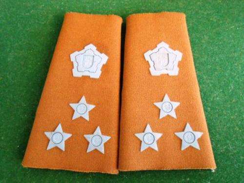 Brigadier Nutria Shoulder Insignia