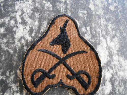 PTI Nutria badge