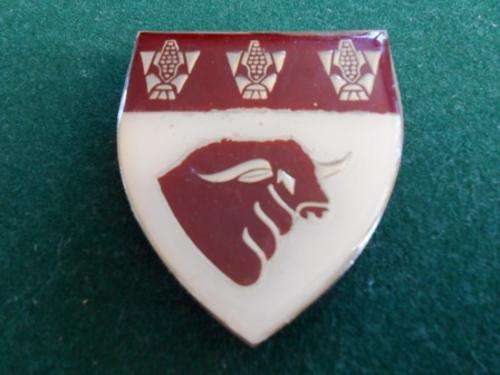 Hoopstad Commando Shoulder Flash