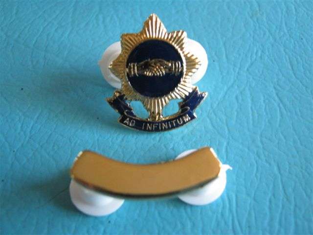 SAP Lapel Badge
