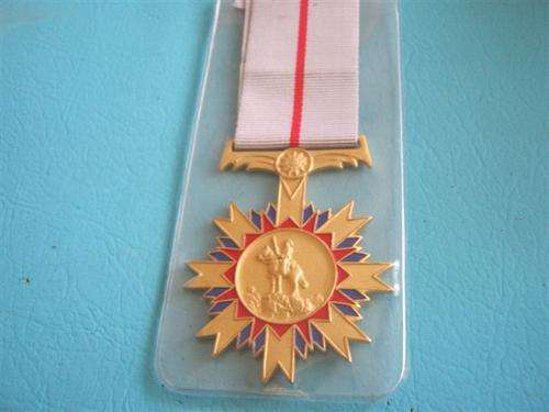 SWA merit Medal