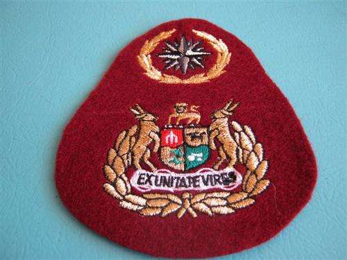 Recce RSM badge collectors copy