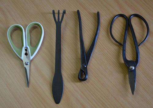 Professional Bonsai Toolkit